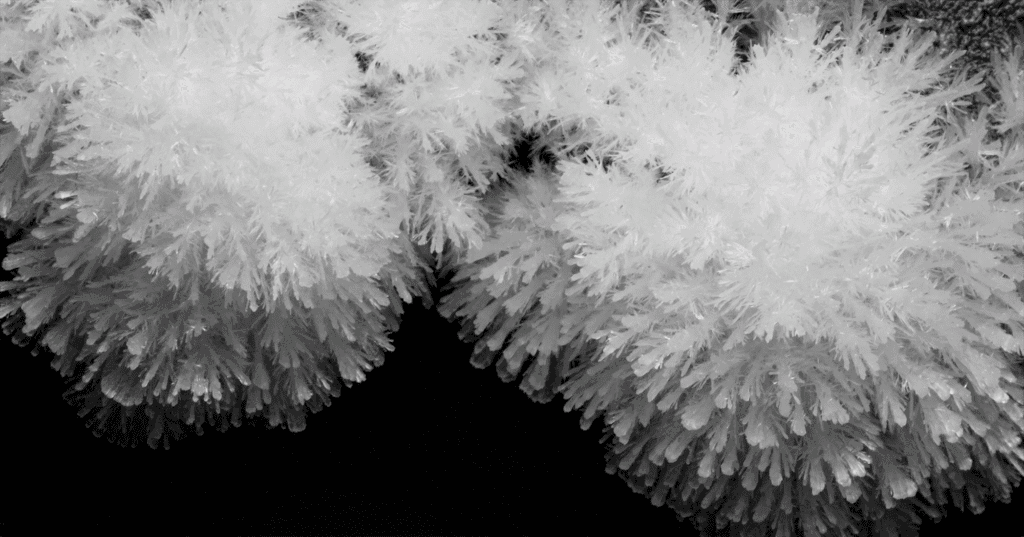 Image from &quot;C R Y S T A L S&quot; by Thomas Blanchard.