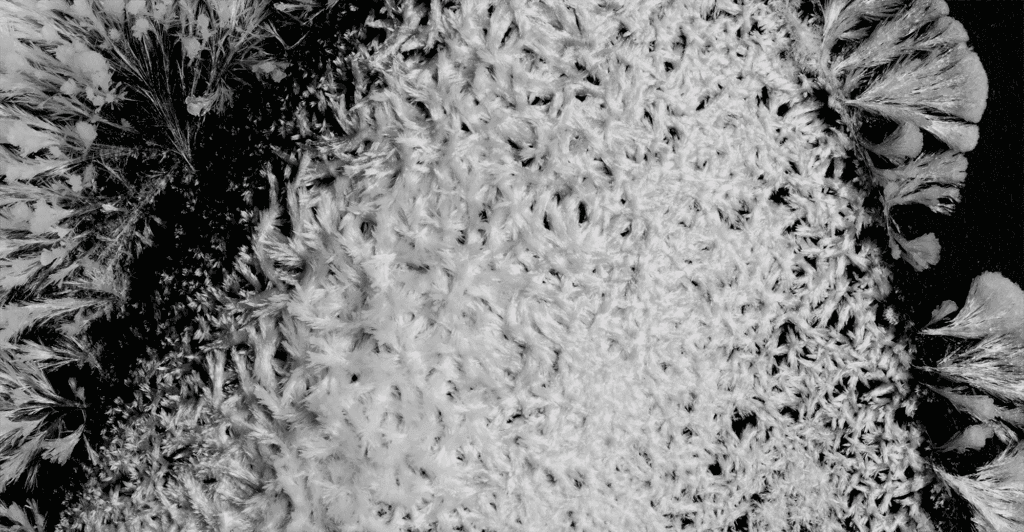 Image from &quot;C R Y S T A L S&quot; by Thomas Blanchard.