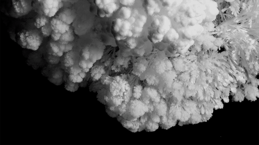 Image from &quot;C R Y S T A L S&quot; by Thomas Blanchard.