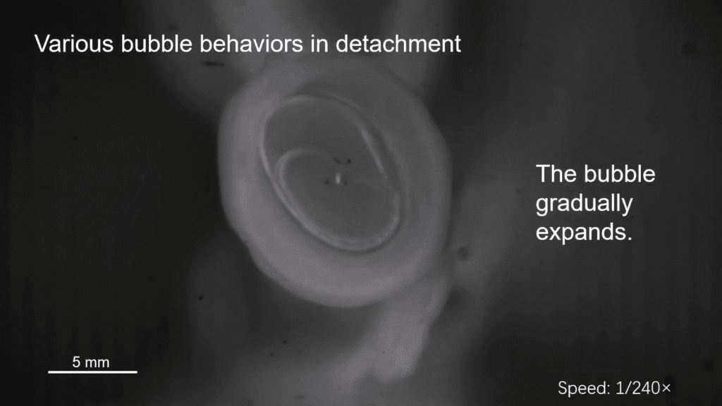 Black and white image of a bubble expanding inside a suction cup, as viewed from below. Text reads, "Various bubble behaviors in detachment; The bubble gradually expands." Black and white image of a bubble expanding inside a suction cup, as viewed from below. Text reads, "Various bubble behaviors in detachment; The bubble gradually expands."