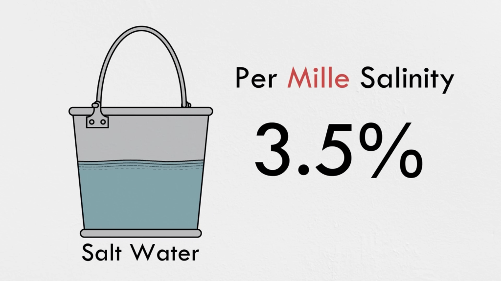 Seawater doesn't actually contain that much salt, except compared to freshwater. Seawater doesn't actually contain that much salt, except compared to freshwater.