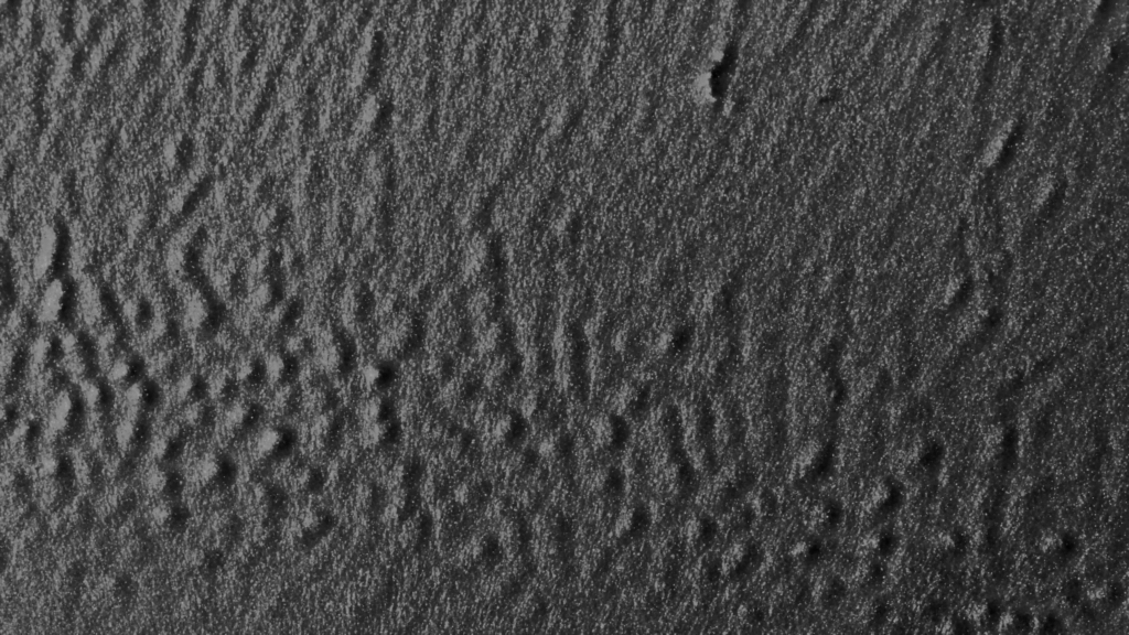 From "Dispersion" by Susi Sie. From "Dispersion" by Susi Sie.