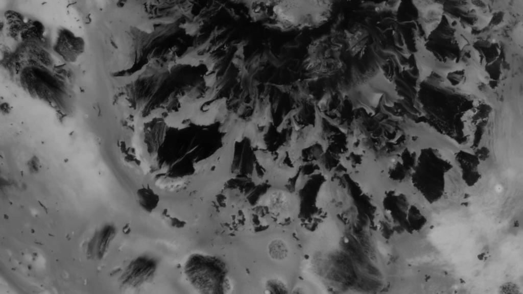 From "Dispersion" by Susi Sie. From "Dispersion" by Susi Sie.