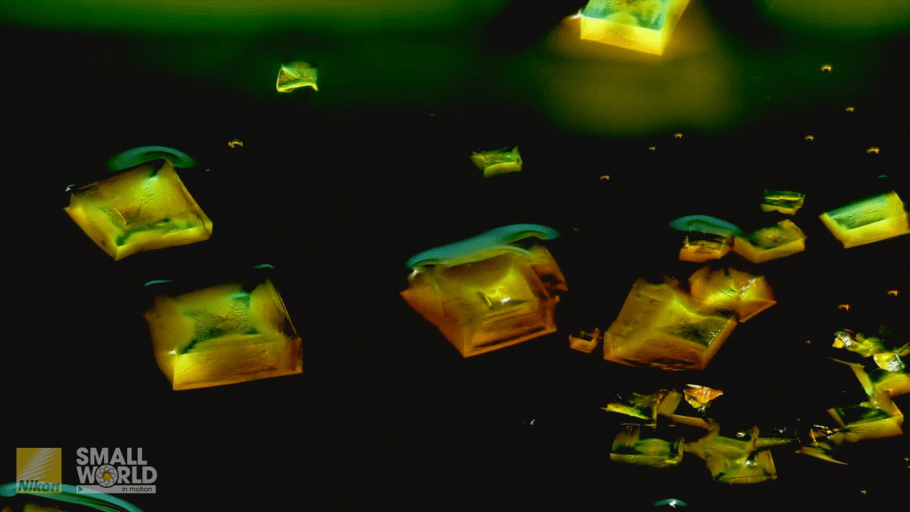 As the water evaporates, new crystals of the mixed salts form. As the water evaporates, new crystals of the mixed salts form.