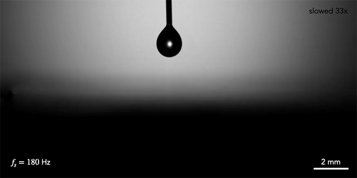 At a high vibrational frequency, a bouncing droplet effectively hovers in space and changes its shape rather than bouncing.