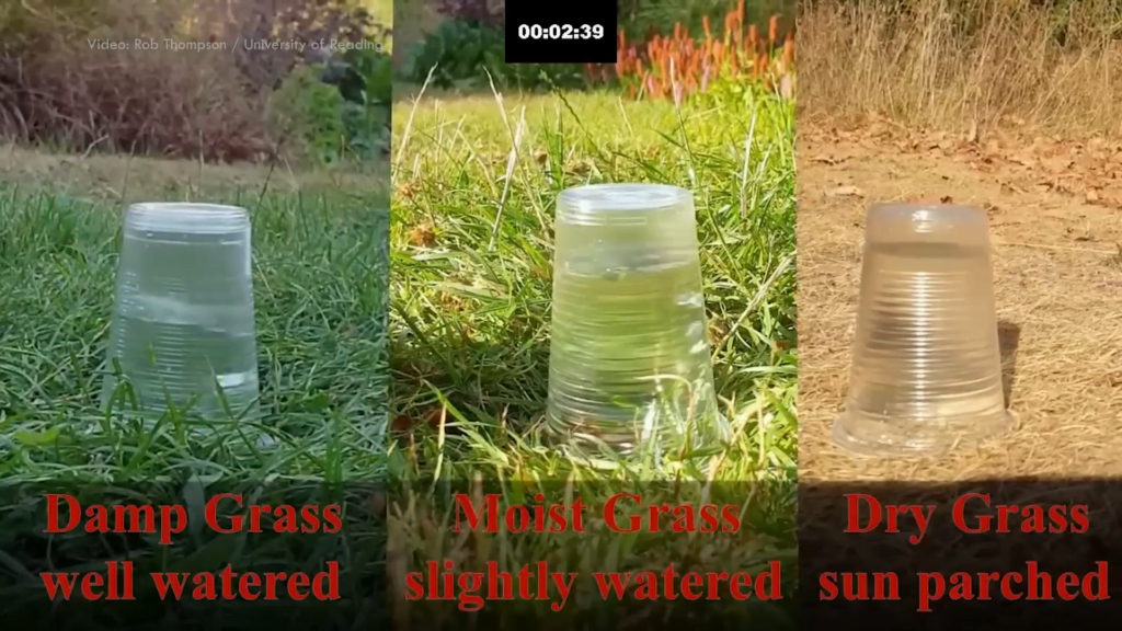 Three backyard experiments aimed at understanding: does parched soil absorb water faster or slower than wet soil? Three backyard experiments aimed at understanding: does parched soil absorb water faster or slower than wet soil?