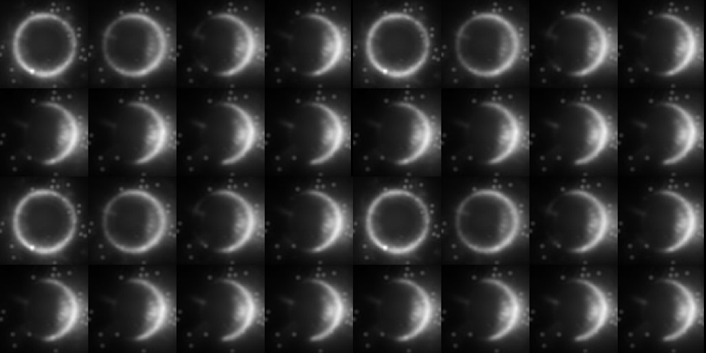 Snapshots from the experiment show tracer particles gathering on the hot side of a large particle due to a thermally-driven slip flow.