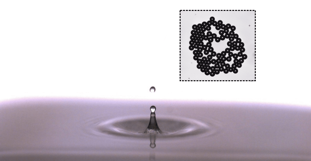 How Large Particles Get in Sea Spray