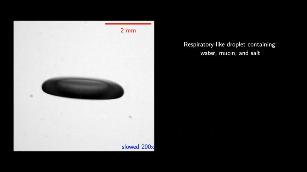 An acoustically levitated drop starts out in a flattened shape.