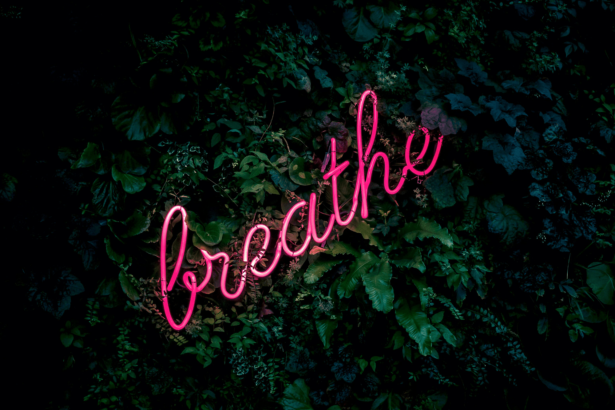 Deep Breaths Renew Lung Surfactants + A Special Announcement