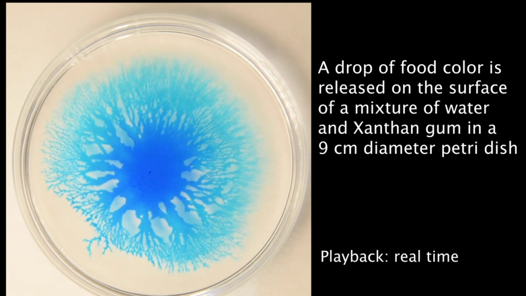 A drop of food coloring released onto a petri dish filled with a mixture of water and xanthan gum spreads in a fractal pattern. A drop of food coloring released onto a petri dish filled with a mixture of water and xanthan gum spreads in a fractal pattern.