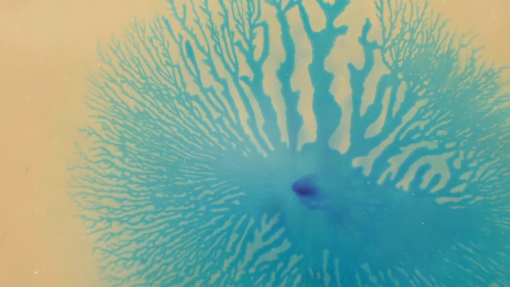 Fractal fingers. Fractal fingers.