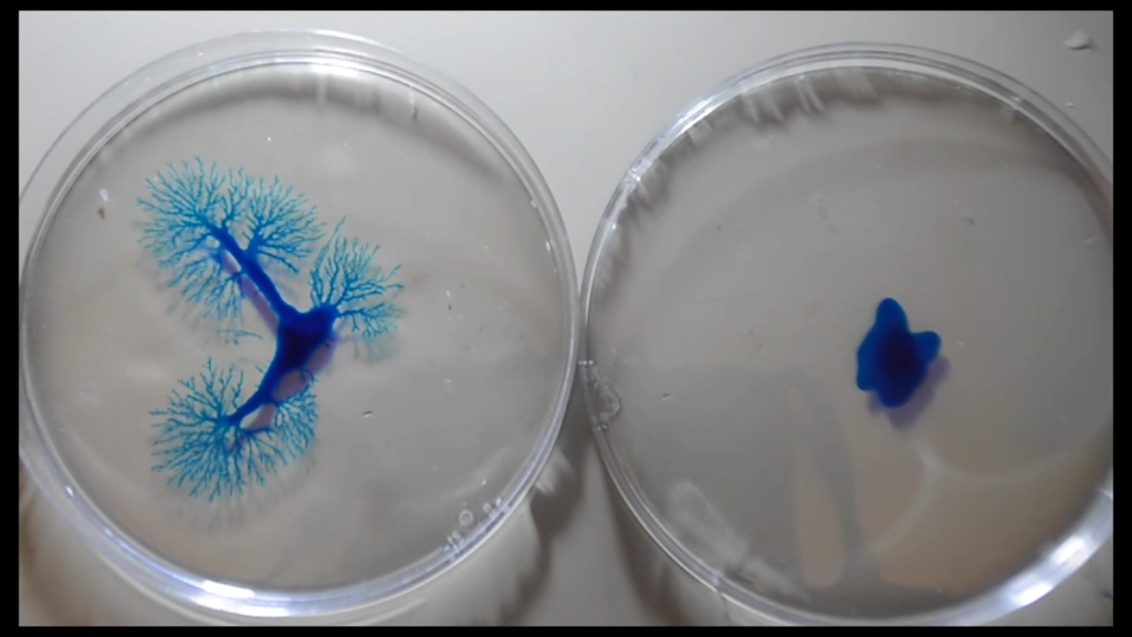 After the gum mixture has solidified, the fractal pattern is suppressed (right) unless the skin has been pierced (left). After the gum mixture has solidified, the fractal pattern is suppressed (right) unless the skin has been pierced (left).
