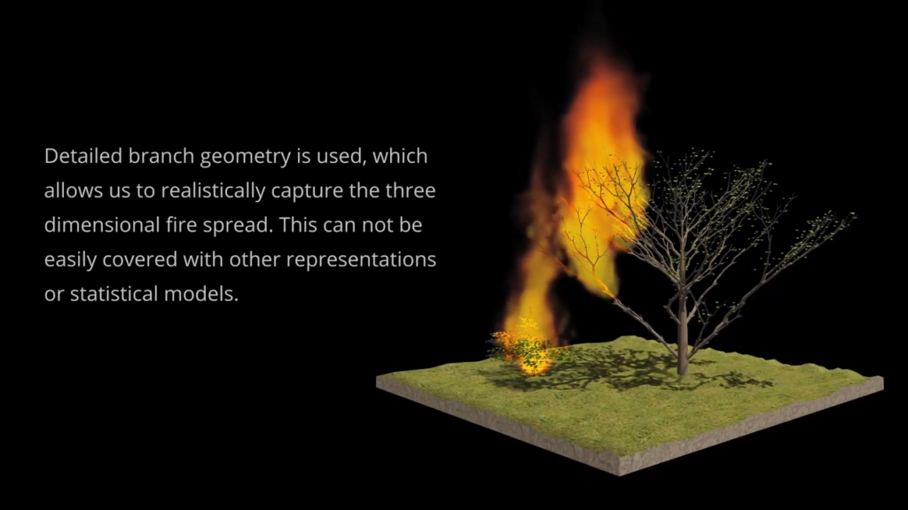 The simulation uses a computationally efficient but realistic 3D branching geometry for trees. The simulation uses a computationally efficient but realistic 3D branching geometry for trees.