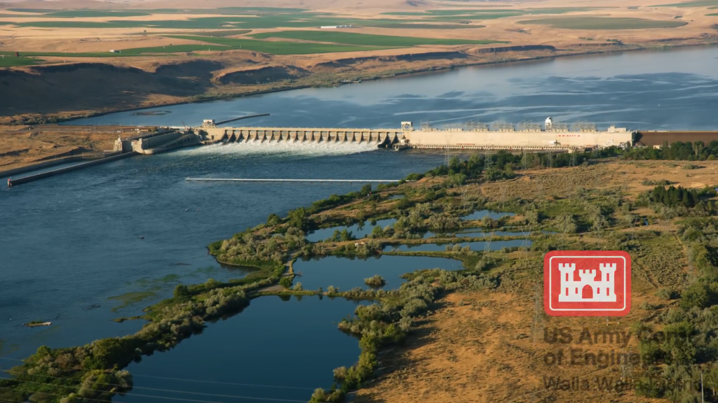 Many U.S. dams were built before we considered the ecological impact they would have on river species. Many U.S. dams were built before we considered the ecological impact they would have on river species.