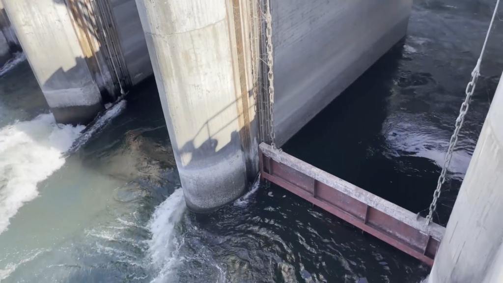 But constant study and frequent infrastructure upgrades mean that many dams are equipped to allow these species through with as little impact to them as possible. But constant study and frequent infrastructure upgrades mean that many dams are equipped to allow these species through with as little impact to them as possible.