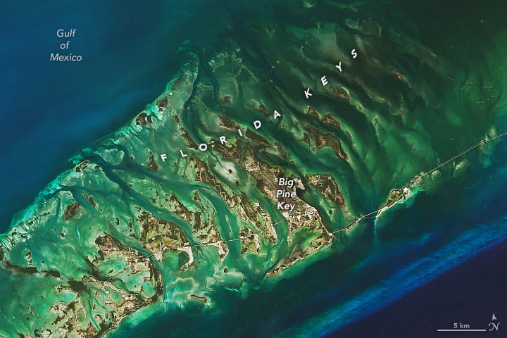 Natural-color satellite image of the Florida Keys. Natural-color satellite image of the Florida Keys.