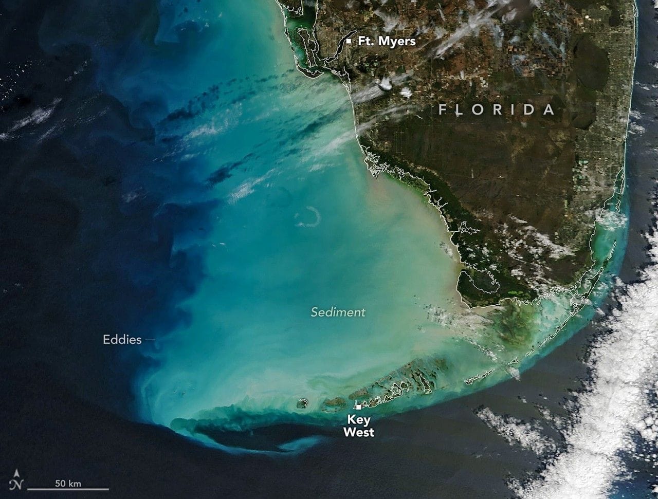 Satellite image showing sediment swept off of Florida's coast by cold weather.