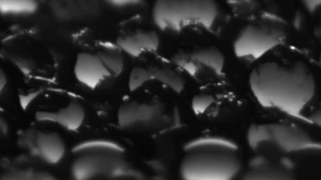 A sea of freezing droplets viewed from the side.