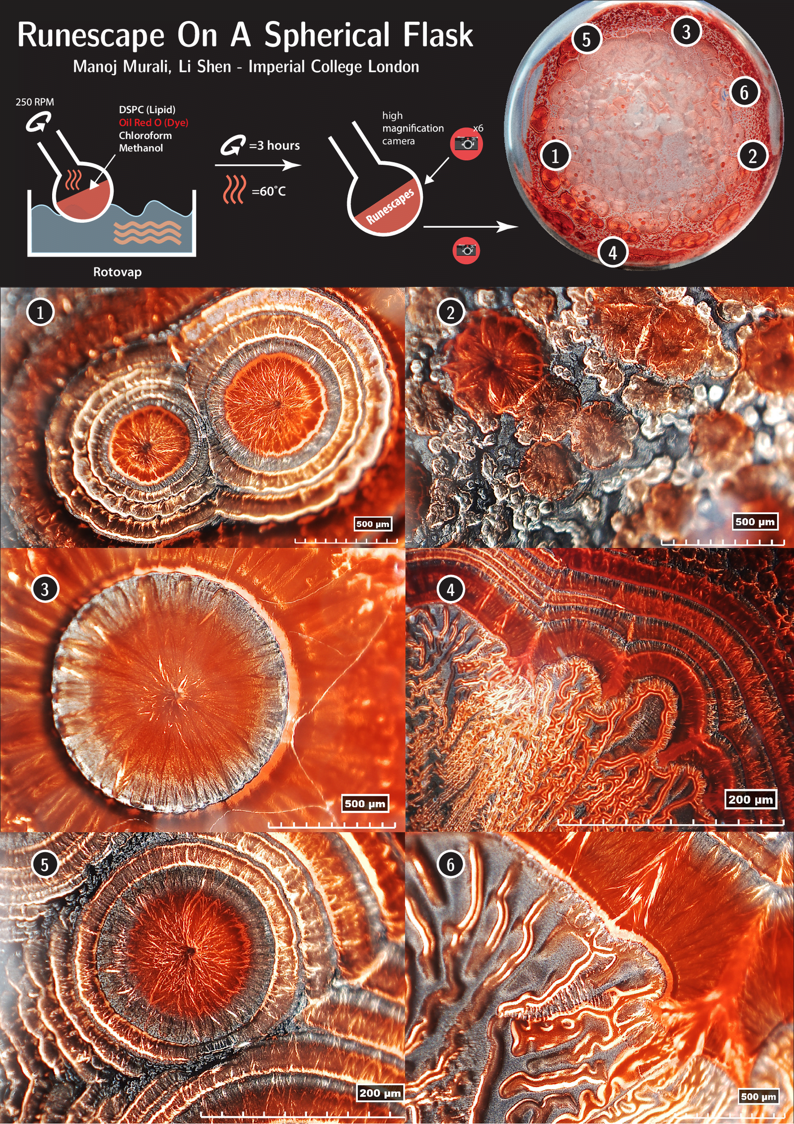 A poster showing microscopic patterns formed in a flask after evaporation and chemical reactions.