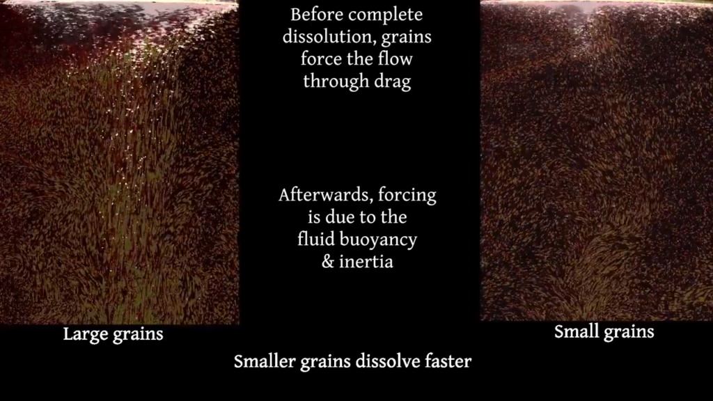 Grain size affects the flows through drag (for slow dissolution) and buoyancy (for fast dissolution). Grain size affects the flows through drag (for slow dissolution) and buoyancy (for fast dissolution).