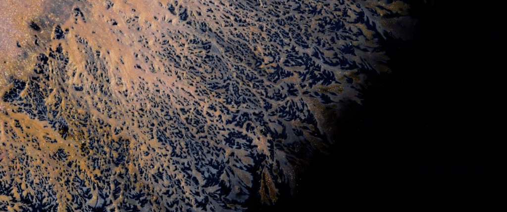 Image from "Genesis" by Vadim Sherbakov.