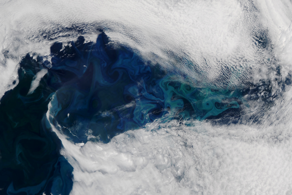 A satellite image reveals the blue and green swirls of a phytoplankton bloom.