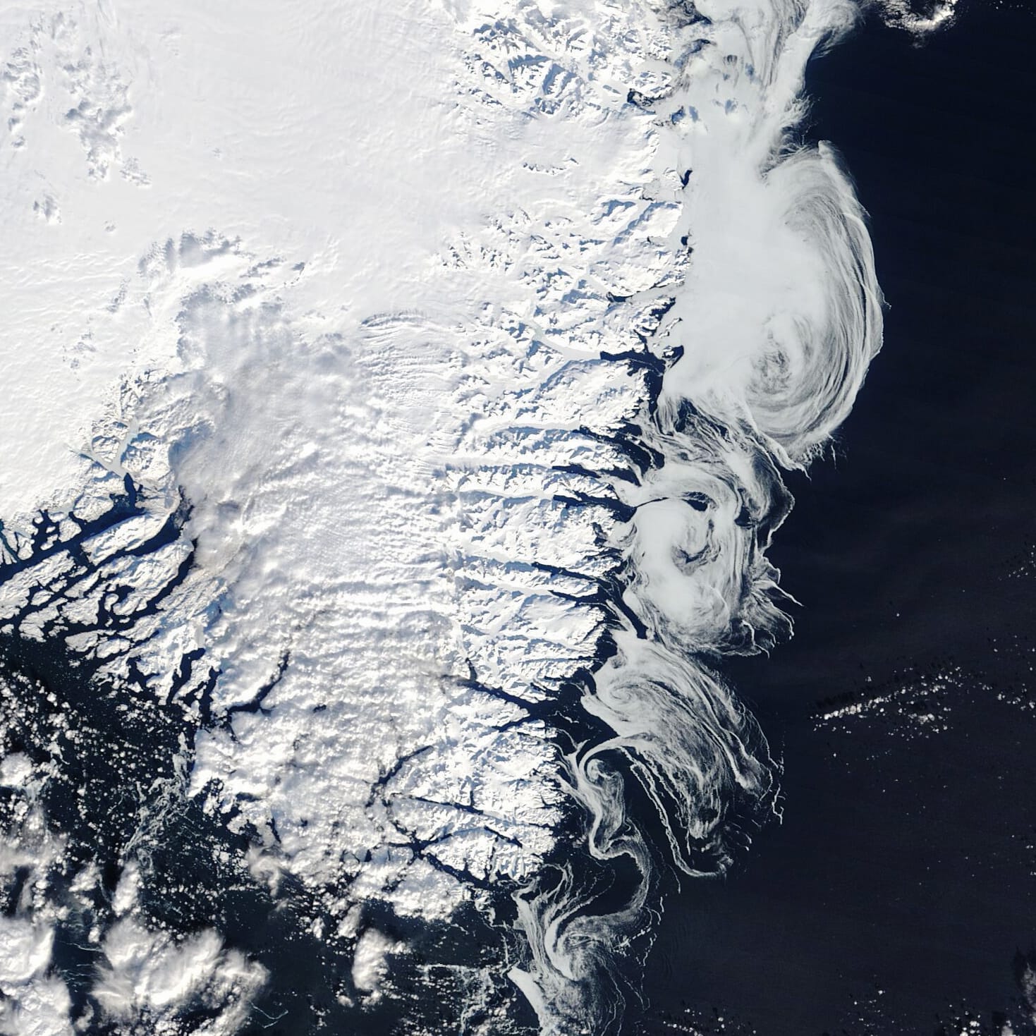 Whorls of Sea Ice