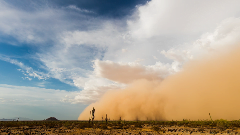 From "Haboob" by Mike Olbinski. From "Haboob" by Mike Olbinski.