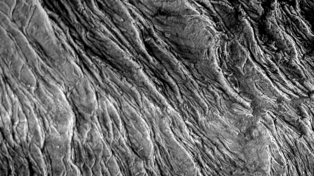 From "Haut" by Susi Sie. From "Haut" by Susi Sie.