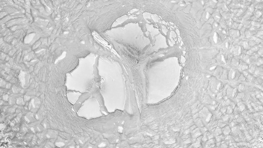 From "Haut" by Susi Sie. From "Haut" by Susi Sie.