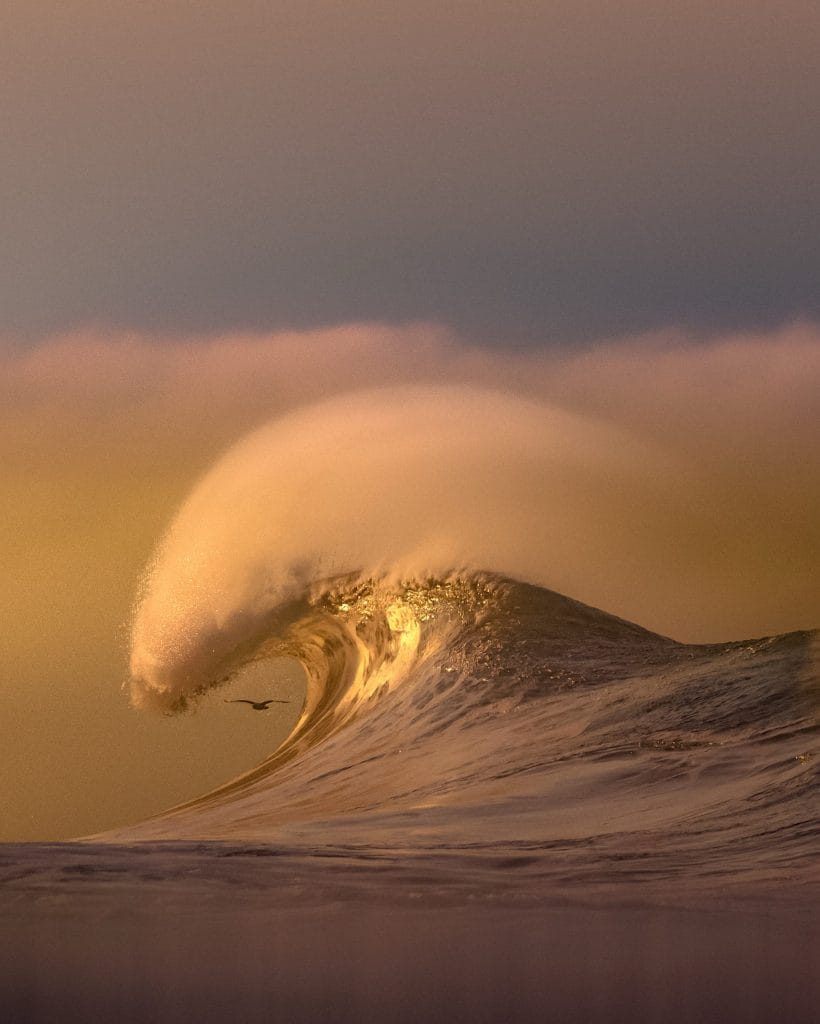 Image by Craig Hubbard.