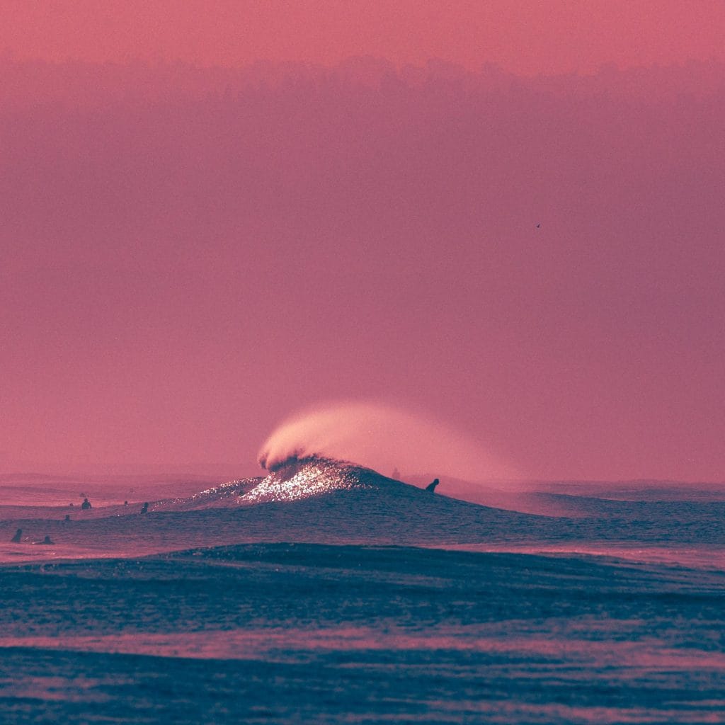 Image by Craig Hubbard.