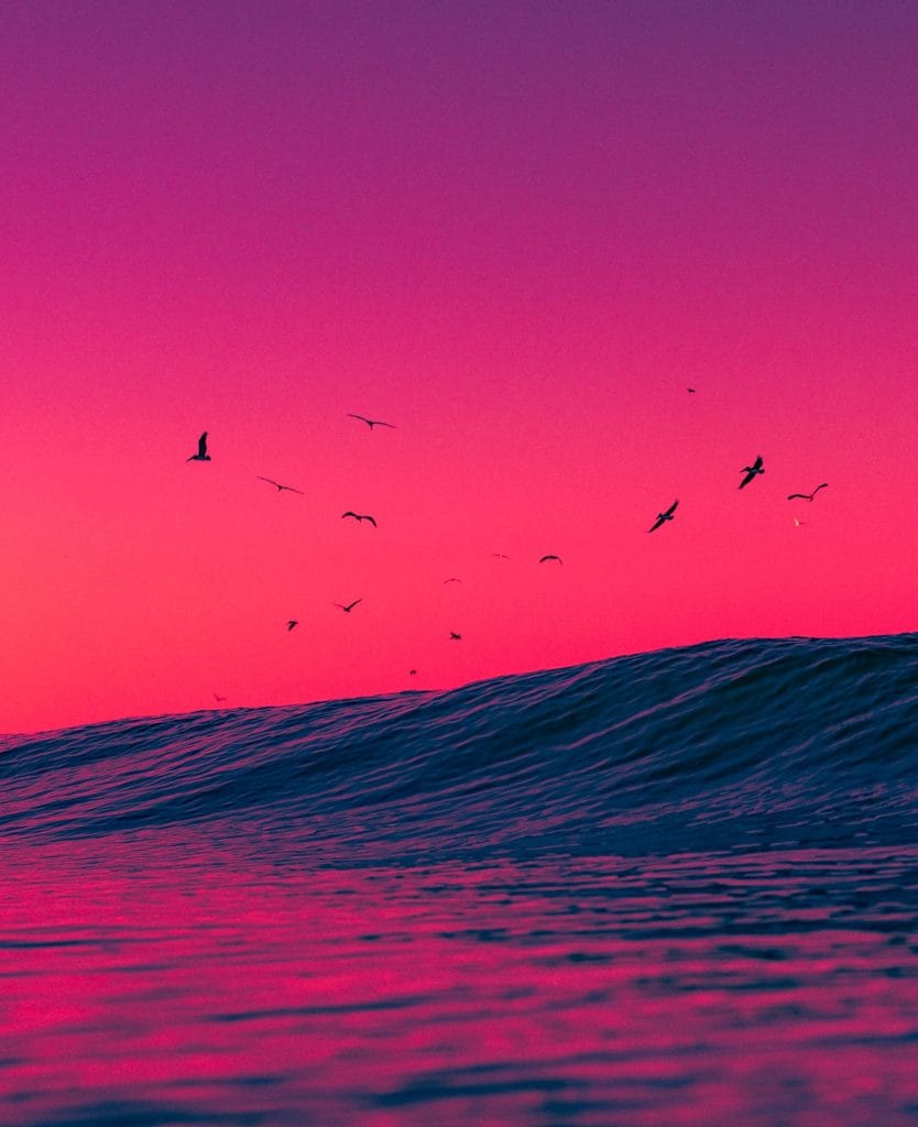 Image by Craig Hubbard.