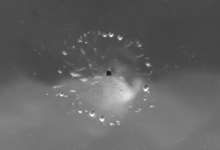 An oscillating hydraulic jump, viewed from below.