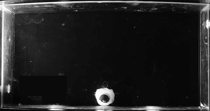 Timelapse of ice forming and aging in salt water over the course of ~16 days.