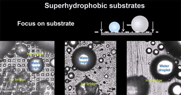Animation of a suspended ice bridge growing between water droplets on a superhydrophobic surface.