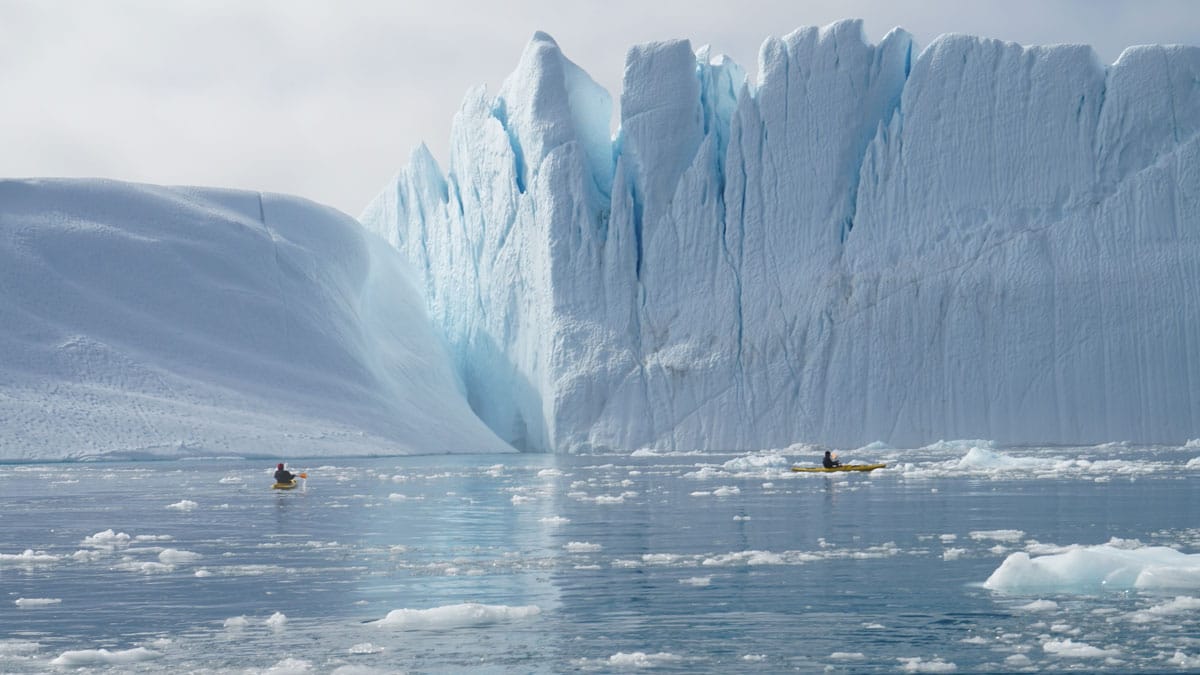 Scientists in kayaks tow equipment through a fjord.