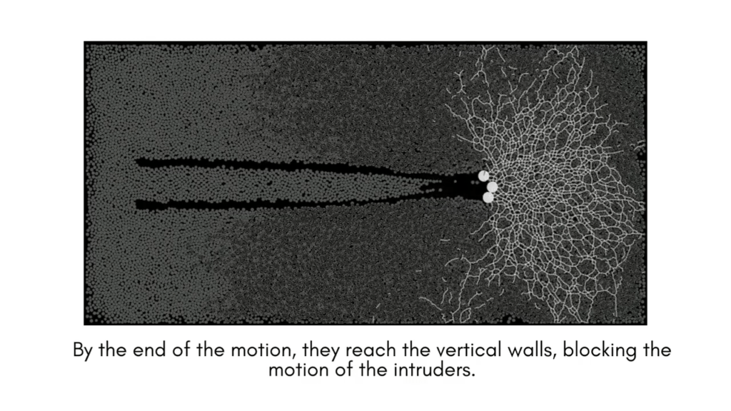 Here the lightning-like web shows force chains that prevent the intruders' motion.
