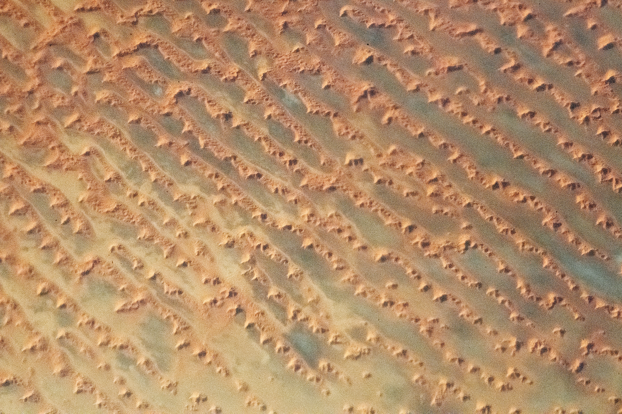 An astronaut's photo of a dune field in southeastern Saudi Arabia.