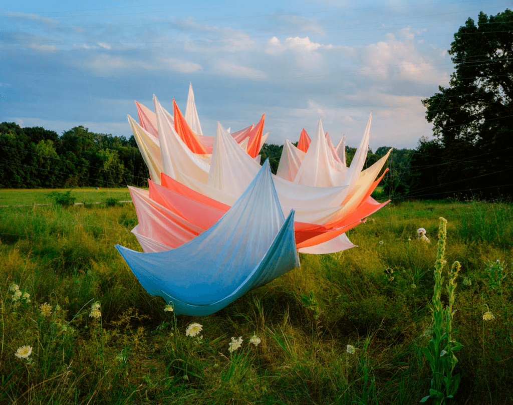 Image by Thomas Jackson.