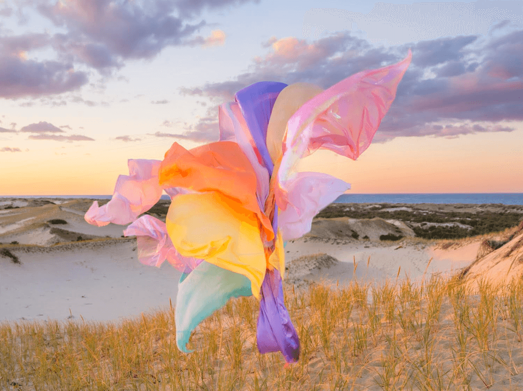 Image by Thomas Jackson.