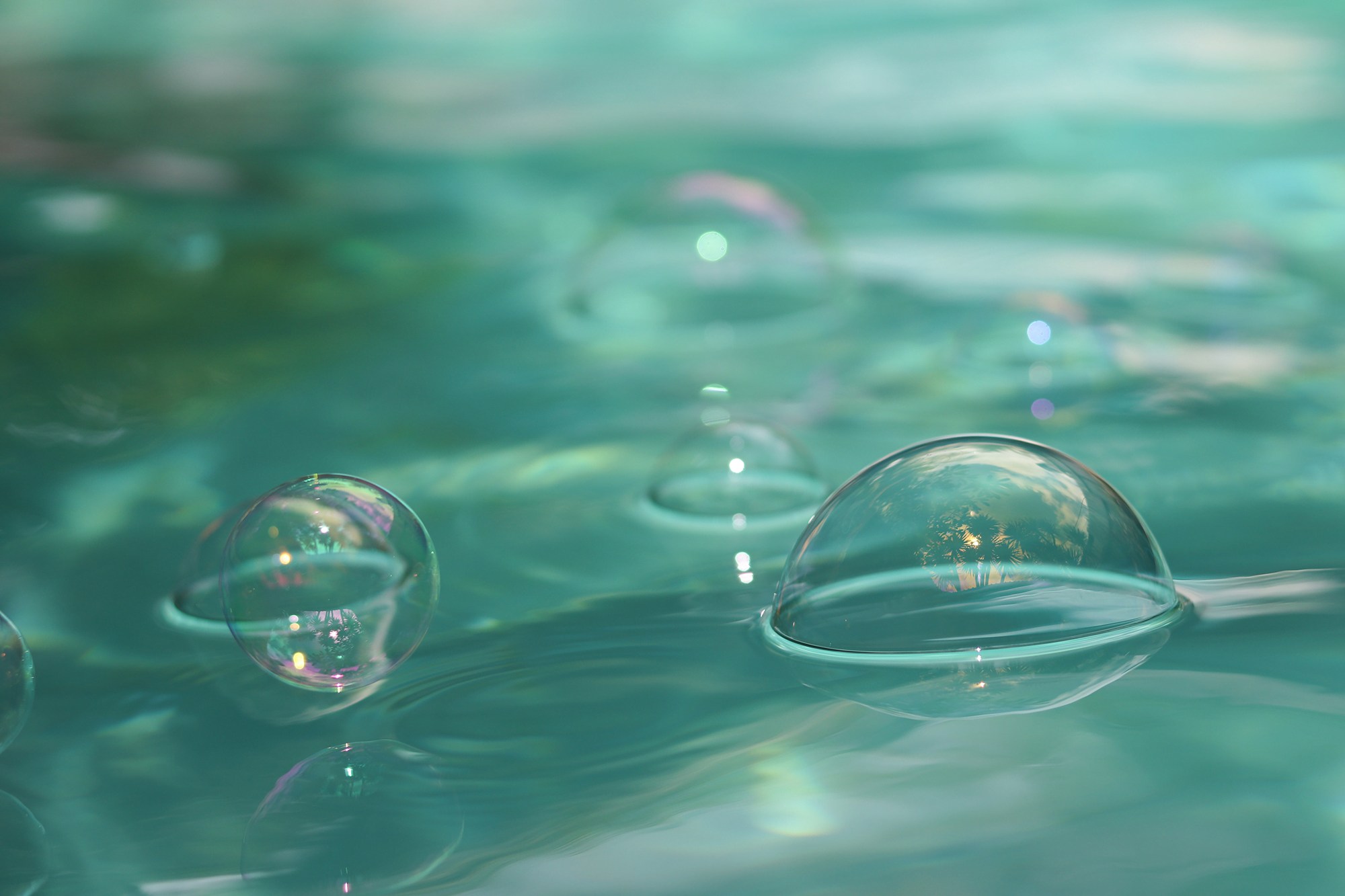 Oil-Covered Bubbles Popping