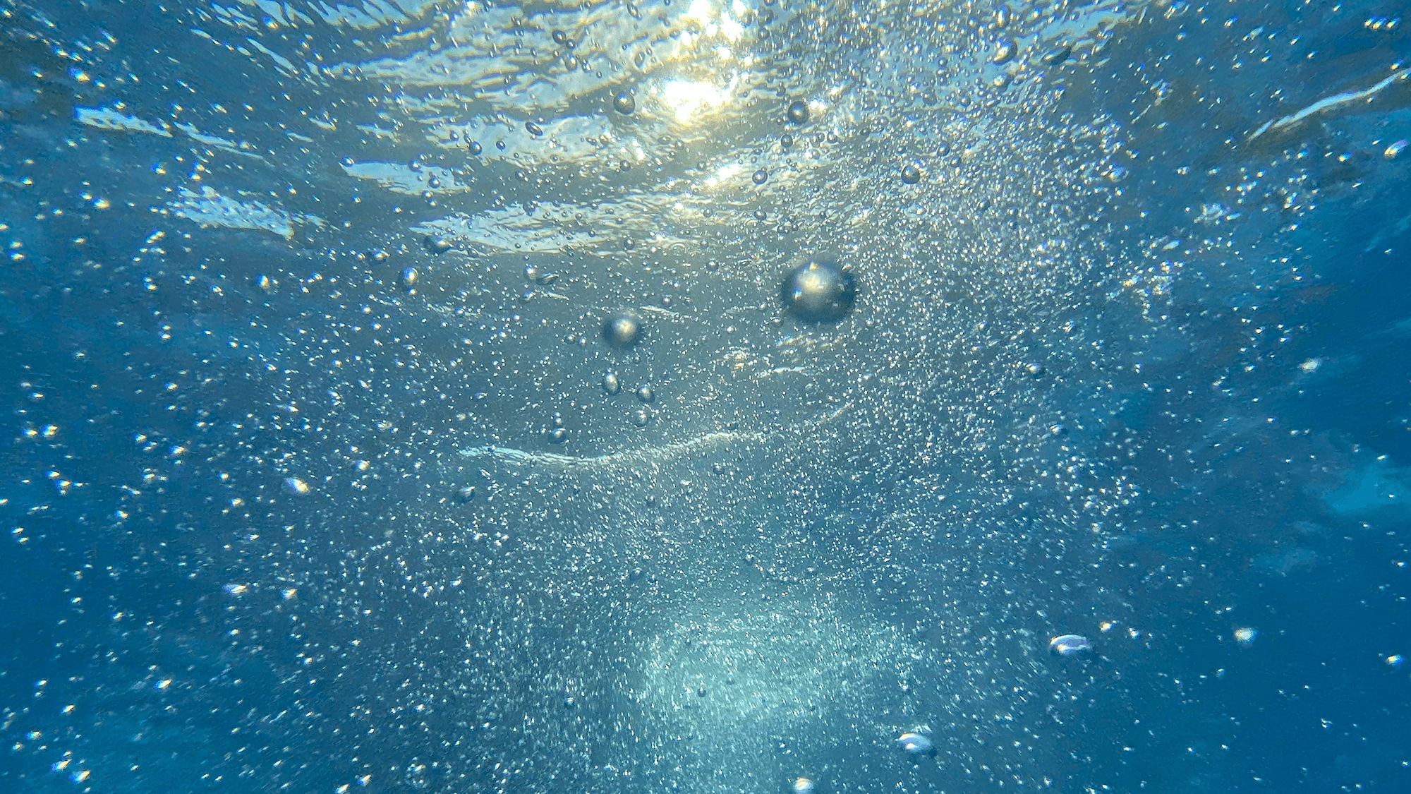 Ocean Bubbles Capture Carbon