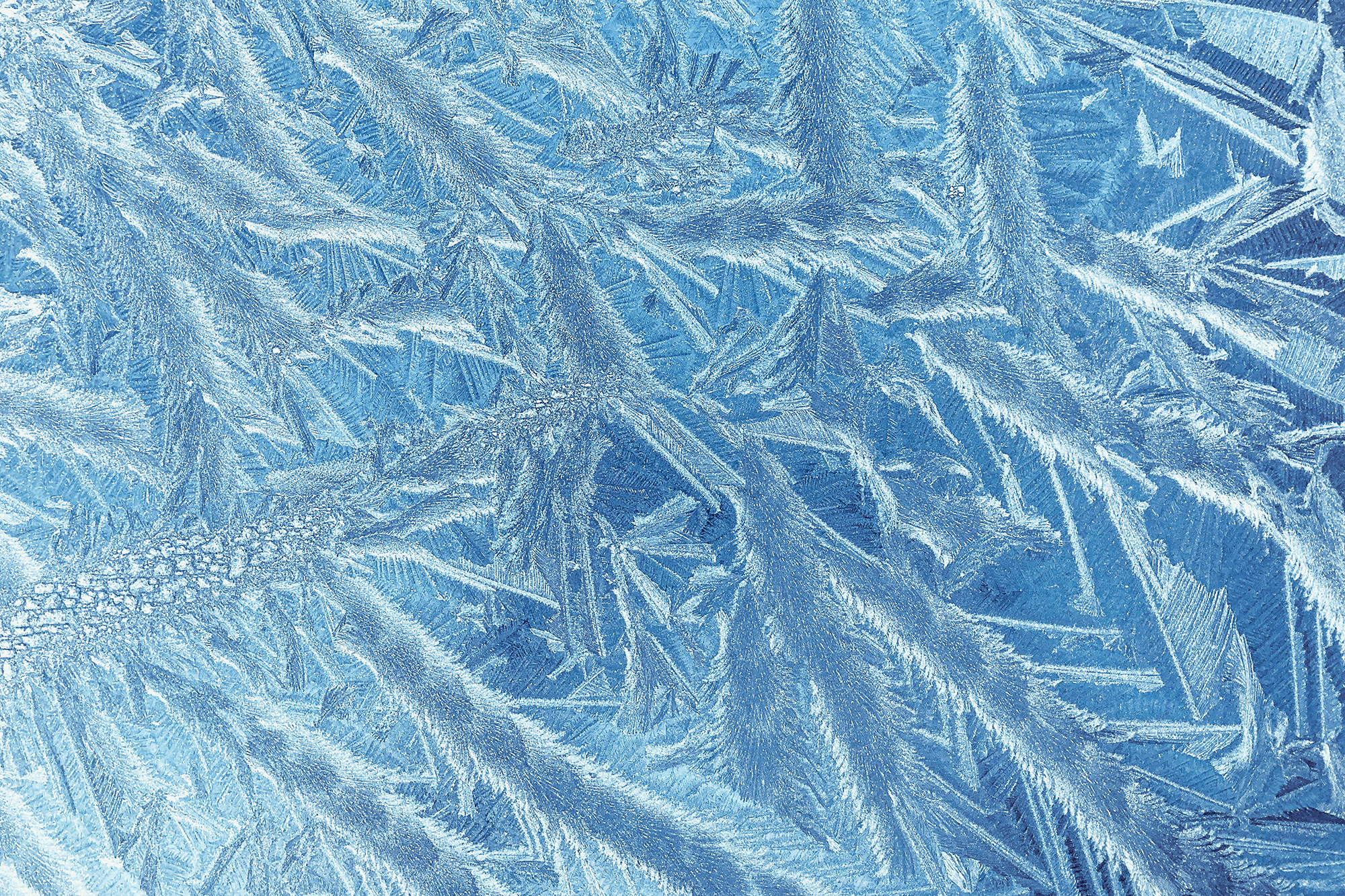 Freezing Via Ice Bridge