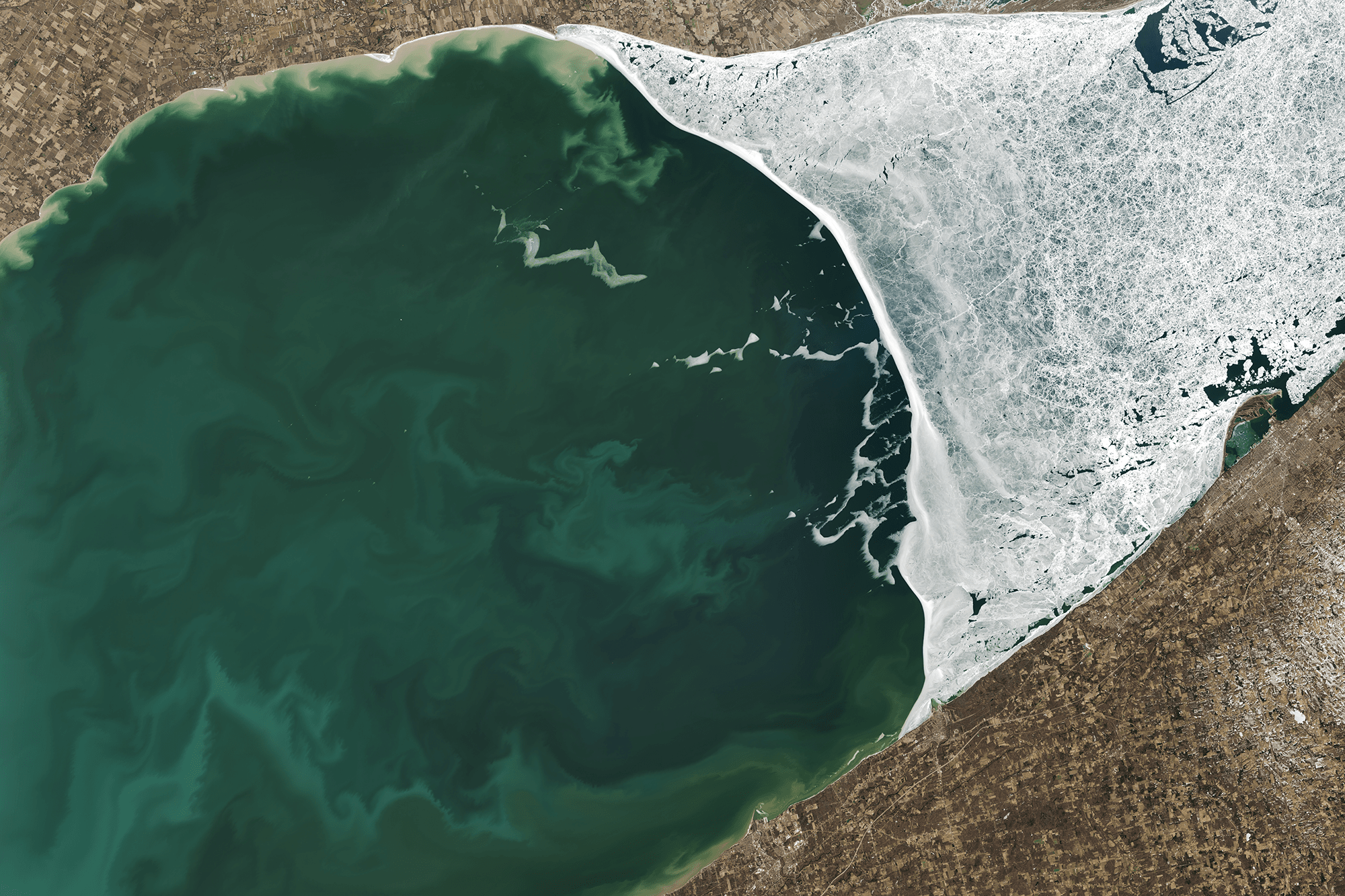 This satellite image shows the central region of Lake Erie in March 2025, when about a third of the lake was covered in ice. Sediment and early phytoplankton blooms swirl in the water.