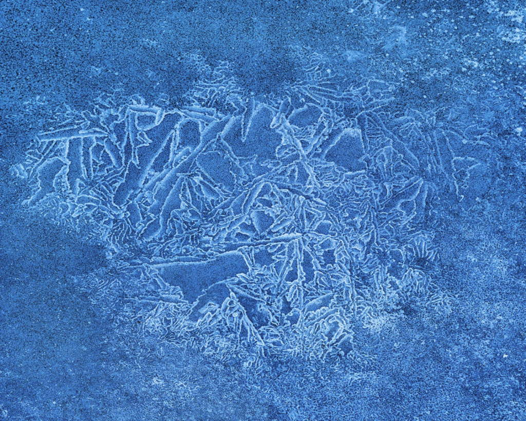 Photo by Bernhard Lang.