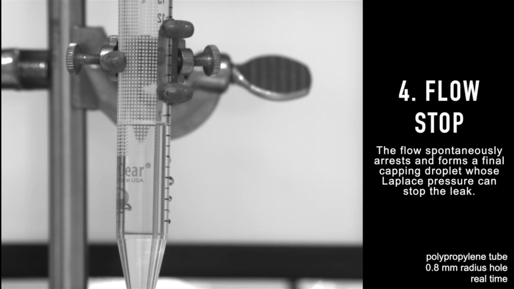 Finally, the pressure in the tube is low enough that the curvature of a droplet is enough to act as a cap that stops the leak. Finally, the pressure in the tube is low enough that the curvature of a droplet is enough to act as a cap that stops the leak.