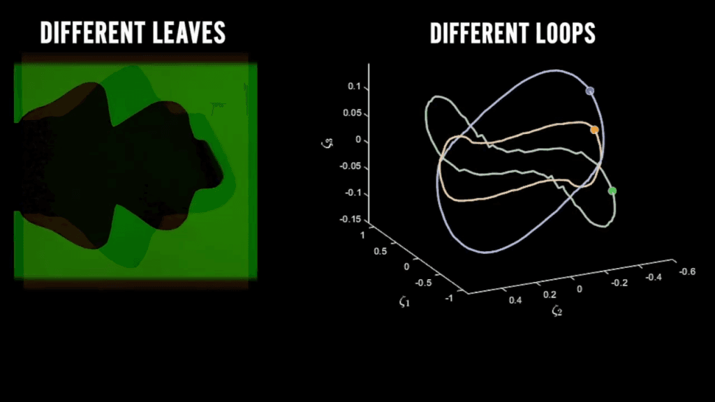 On the left, an outline of a oak-like leaf in green, labeled "Different Leaves". On the right, a 3D graph of a phase space consisting of different flutter modes with three different loops representing three different leaf shapes. Text on right reads, "Different Loops"