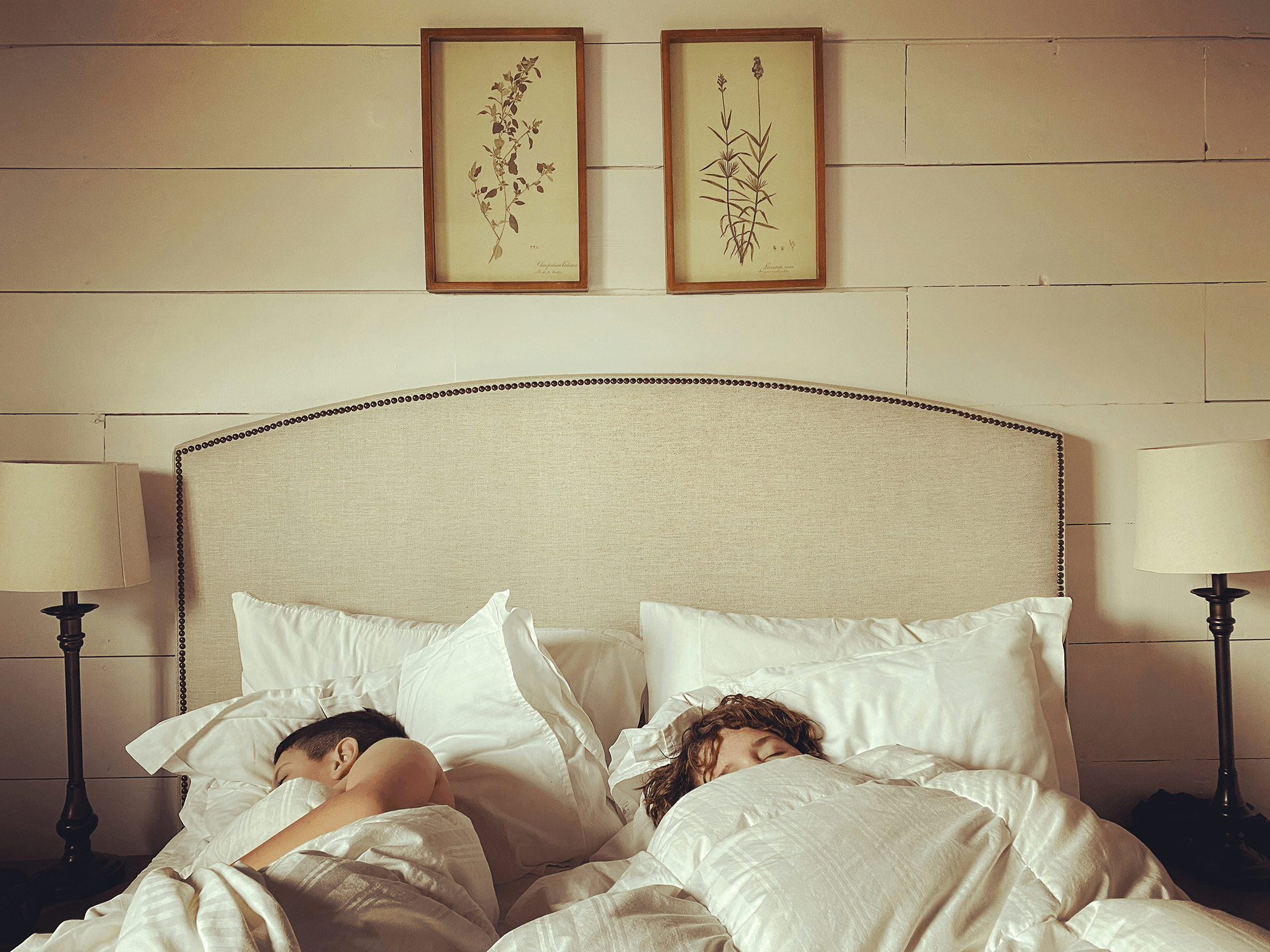 Two people sleeping in a bed.